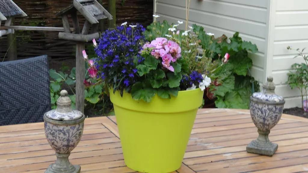Bed&Breakfast De Noordeling-1
