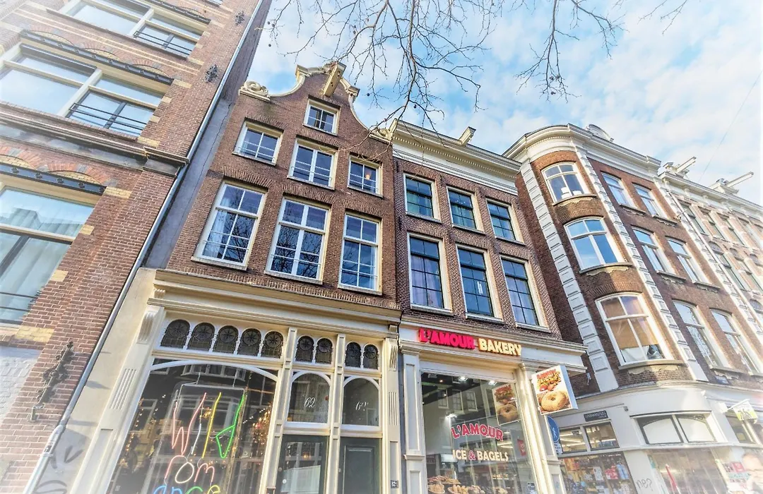 Sunflower Amsterdam-1