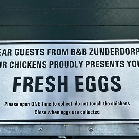 B&B Zunderdorp-3