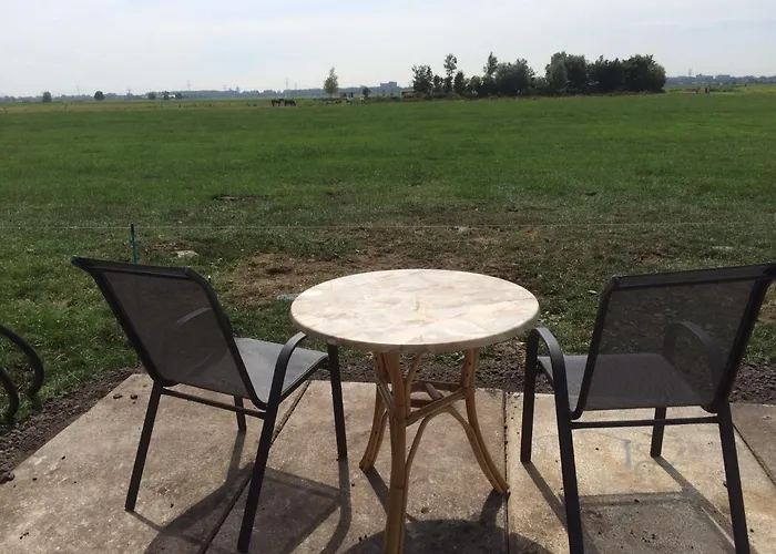 Your Cozy Waggon At The Cows' Paradise