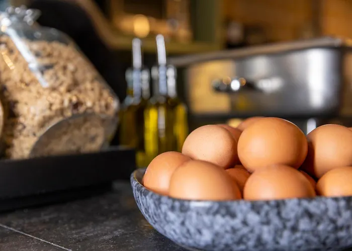 Central hotel: Tourist Inn One Amsterdam