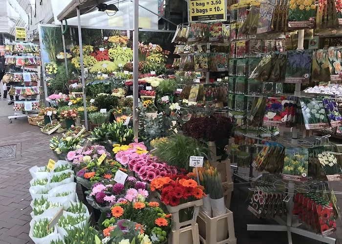 Amsterdam 4 Holiday Guestrooms